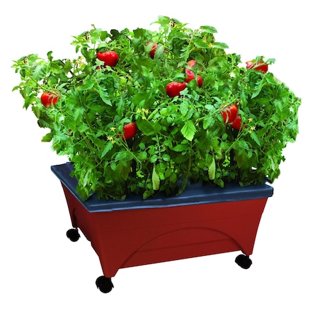 Emsco Group Raised Bed Grow Box, Self Watering and Improved Aeration, Mobile Unit with Casters 2350